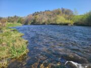 Piscari-Fly Blog: Corrib, Nore fishing well