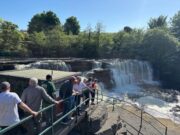 Ballisodare Fishery closed but Biodiversity Day a huge success
