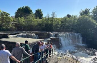 Ballisodare Fishery closed but Biodiversity Day a huge success