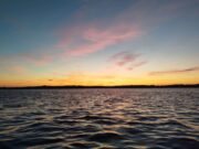Irish Angling Update π£ 23 May 2025