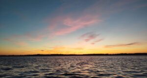 Irish Angling Update 🎣 23 May 2025