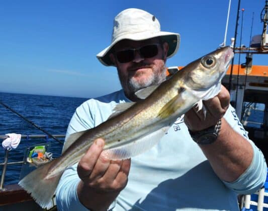 Whiting