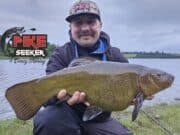 Tench back on the feed for Artur PikeSeeker