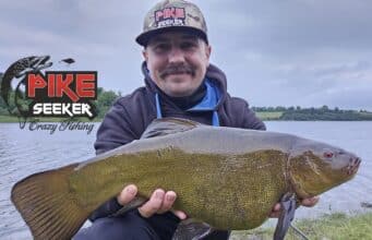 Tench back on the feed for Artur PikeSeeker