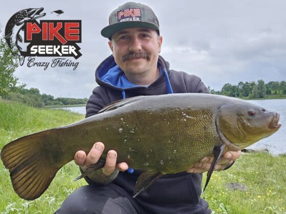 tench