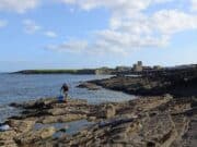 Strong winds hamper New Ross Whit Weekend Festival