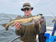 Great fishing, and first porbeagle of the year in Galway