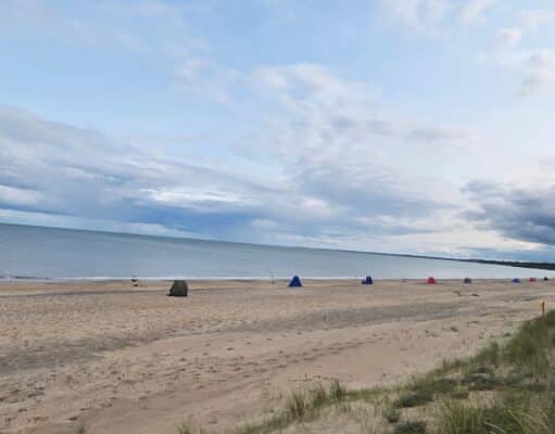 Irish Angling Update 13 June 2025