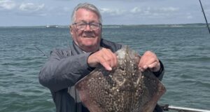 Good mix of species in west Clare