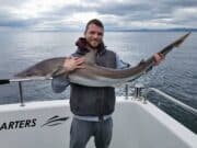 Incredible tope fishing off Wicklow coast