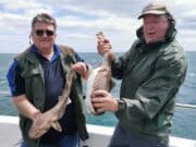 Wicklow Bay throwing up plenty of species for Welsh group