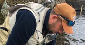 Ballisodare seeing grilse caught every day