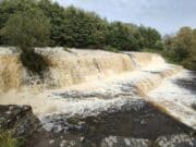 Join Dodder Anglers WhatsApp group for news of upcoming events