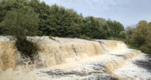 Dodder Anglers Youth Tuition this Weekend