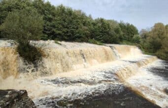 Dodder Anglers ‘Parent & Child’ Open Day this Saturday