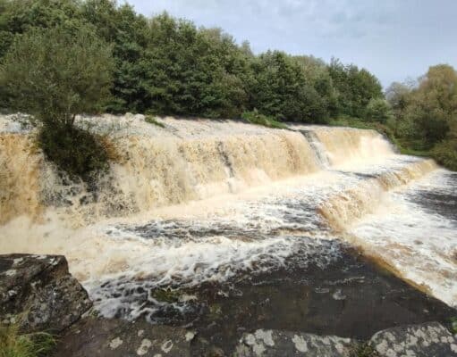 Join Dodder Anglers WhatsApp group for news of upcoming events