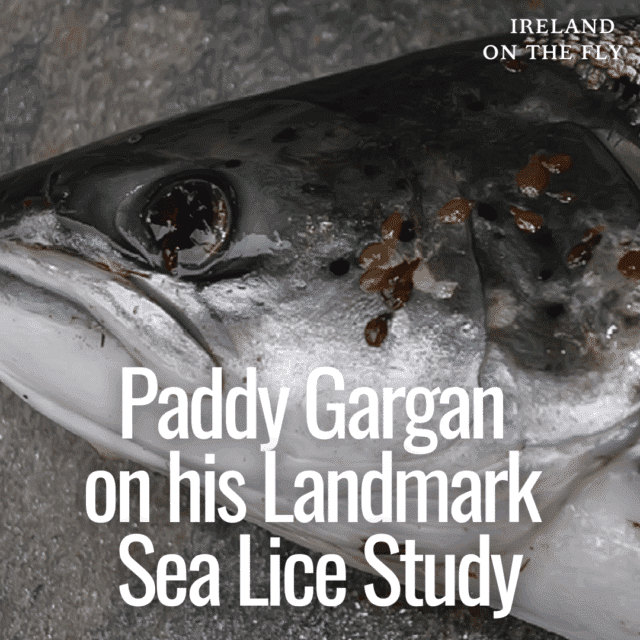 sea lice study