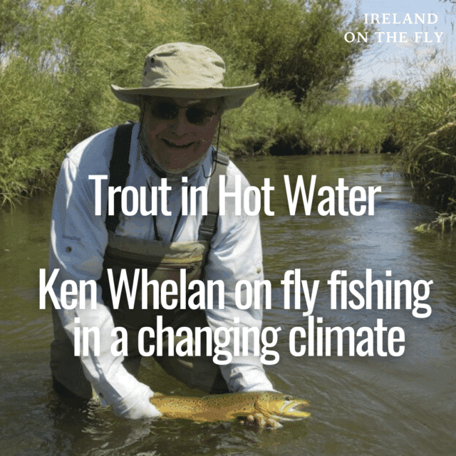 ken whelan