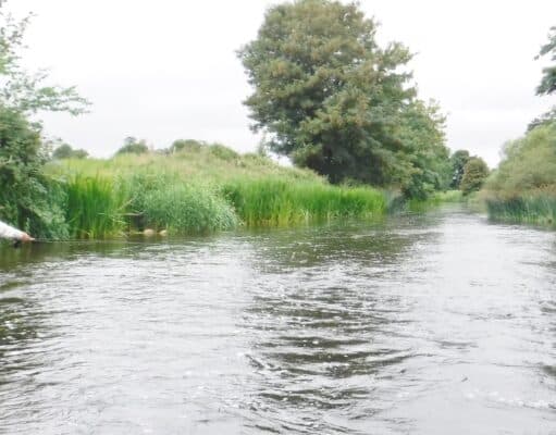 Luck of the Irish for Penn fisher Joe on the Maigue River Maigue with a welcome 'fresh'