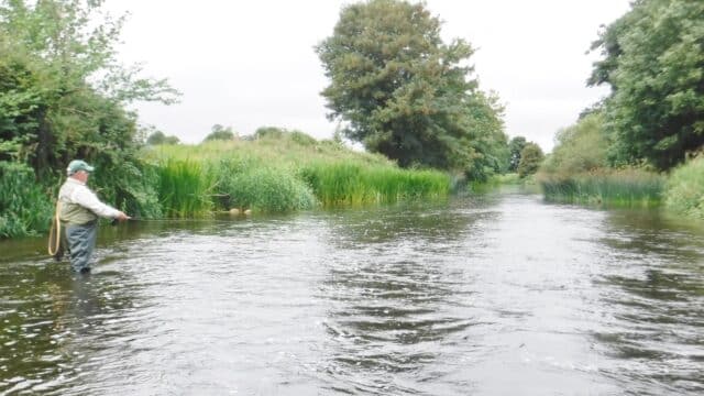River Maigue with a welcome 'fresh'