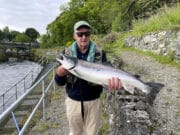 Grilse starting to arrive in Galway but main run still awaited