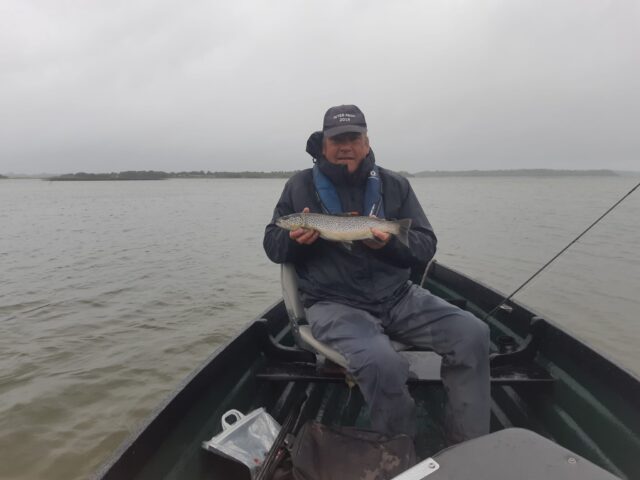 trout