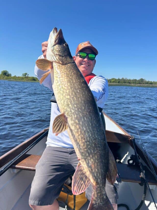 Sylvian is happy with one of his Pike.