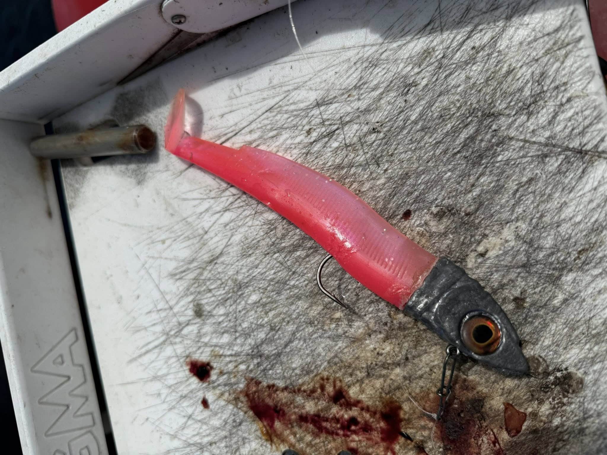 The ubiquitous Black Minnow body in 200mm with my own V2 150g head. Just was able to keep contact with the slow drift