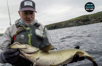 Big pollack in West Cork on Pencil Lures pollack