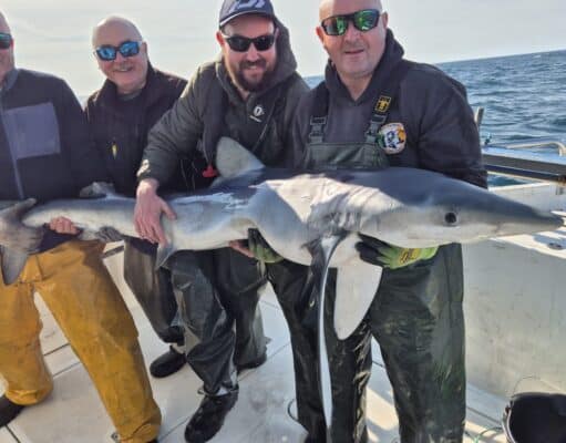 Specimen skate and 17 blues in two days with West Cork Charters