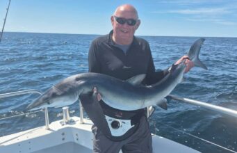 A few shark and mixed species in Galway Bay