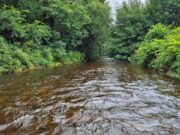 Floods freshen up rivers in the north east