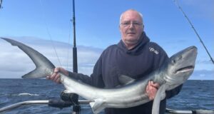 Great shark and reef fishing in west Clare