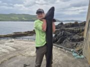 Massive conger makes holiday memory for young Latvian angler