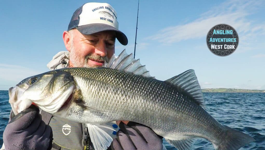 bass