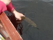 Angling activity still low on Conn & Cullin but a few trout caught