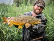 Read Keith McDonnell’s approach to dry fly fishing @ thefloatingfly.com