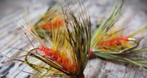 Irish Angling Update π£ 11 July 2025