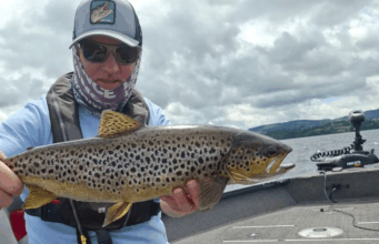 Some nice trout and pike on lures from Derg Spent a few hours chasing brown trout a few days last week