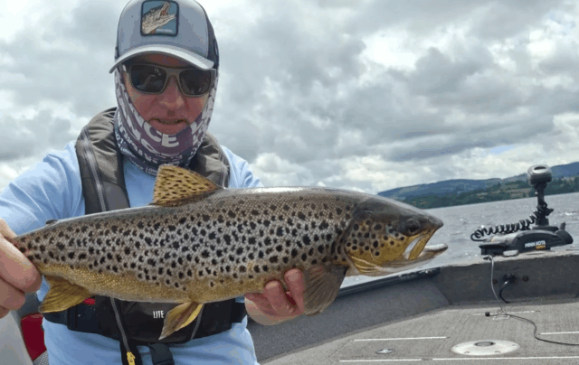 Spent a few hours chasing brown trout a few days last week