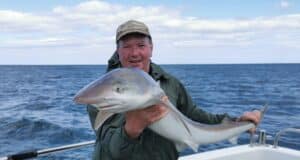 Welsh angler with a fine Tope