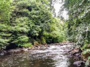 Lots of water, lots of fishing for the PiscariFly crew