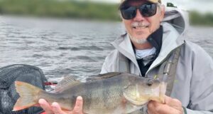 Irish Angling Update π£ 04 July 2025 Big Irish perch caught with Bodo Funke of Angling Services Ireland