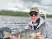 Whopper perch on light gear for US anglers
