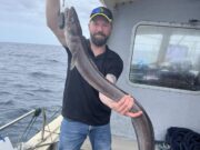 Tomasz Kujawa wins 3 in a row at Cobh SAC master angler series conger