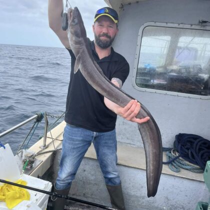 conger