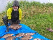 Huge bream feature in anglers catches on the Shannon