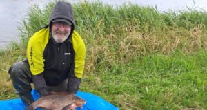 Huge bream feature in anglers catches on the Shannon