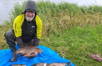 Huge bream feature in anglers catches on the Shannon