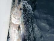First Bluefin Tuna of the 2025 season tagged in Donegal Bay